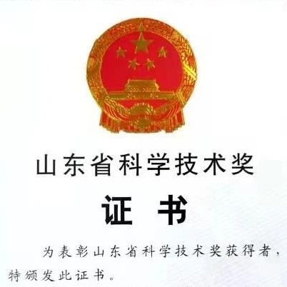 喜訊 | 盛瀚榮獲2020年山東省科學(xué)技術(shù)獎一等獎